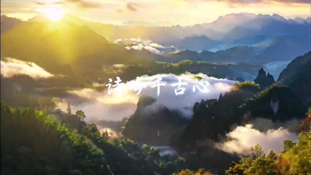 变好科技-独雨夜